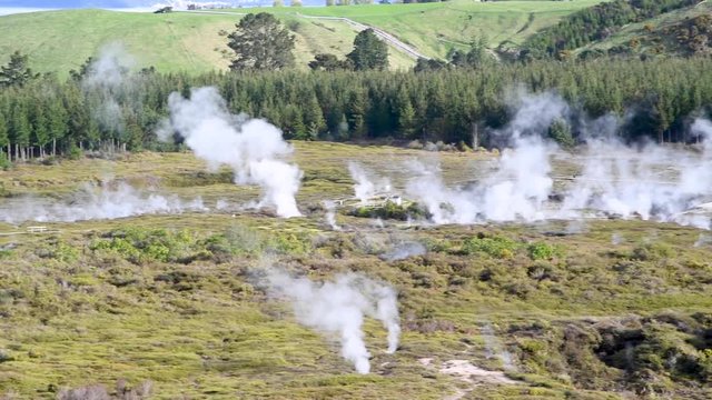 Smokes from Rotorua Park