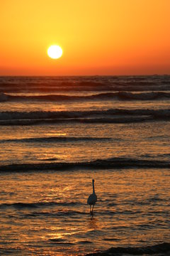 Momentos en el atardecer