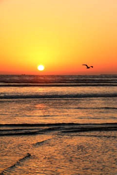 Momentos en el atardecer