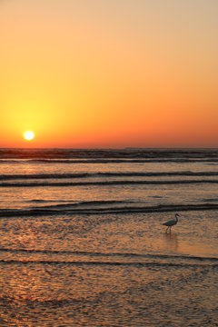 Momentos en el atardecer