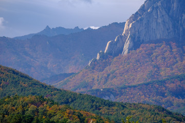 landscape in the mountains