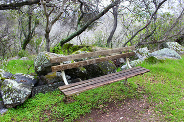 wood bench in lush green park with moss rocks - Powered by Adobe