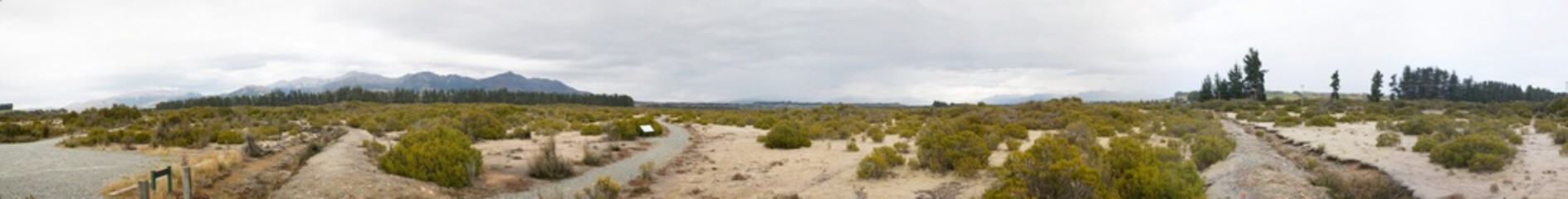 trockene Wiese und Sträucher