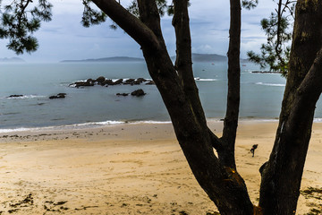 Cold day at the beach