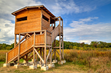Beautiful wooden house
