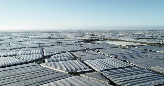 Greenhouses in the municipality of Vicar Almeria Spain