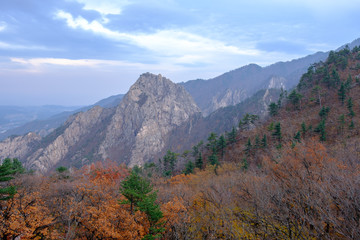 autumn in the mountains in Korea