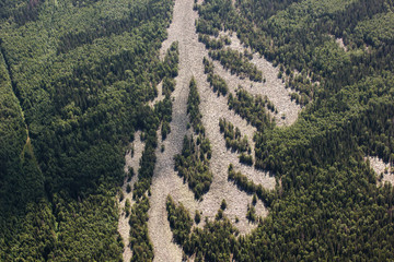 Stone placers in the middle of a coniferous forest on a mountain slope, top view.