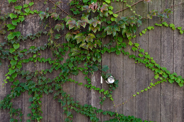 metal handle on a old wooden door