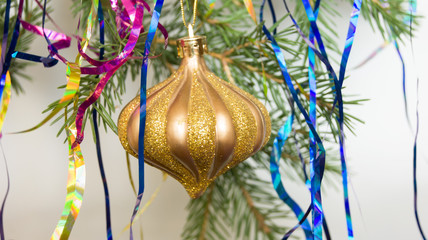 the Golden torch on a spruce branch with garlands