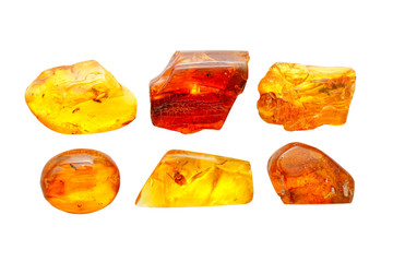 Six pieces of transparent amber of different shapes and colors on a white background. A fly and a...