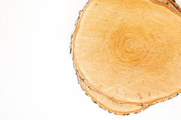 cut tree on white background. wooden tray