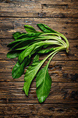 swiss chard