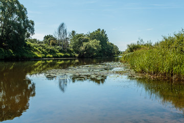 Fototapeta na wymiar River on a sunny summer day in a village