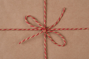 Eco-friendly recyclable plain paper and twine wrapped Christmas Present
