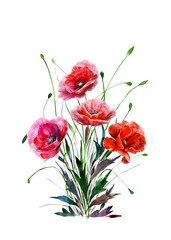 Obraz premium Bouquet of poppy flowers. Hand drawn watercolor illustration. Four red colors flowers. Elements for design isolated on white background. For wedding invitations, greeting cards, datings.