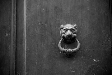 Old Clapper on Wooden Old Door.