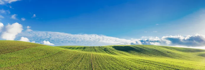 Fotobehang Groen veld en blauwe lucht met wolken. © Photocreo Bednarek