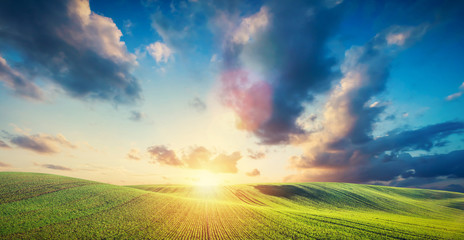 Green field landscape and sunset.