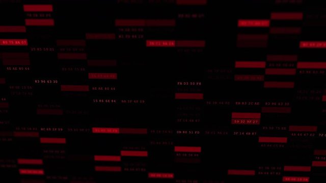 Animated Computer Digits Hex 7