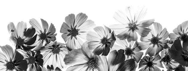 ein schöner Blumenhintergrund aus Blütenblättern © Vera Kuttelvaserova