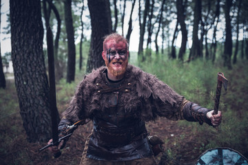 Obraz premium viking with red beard with weapons and armor