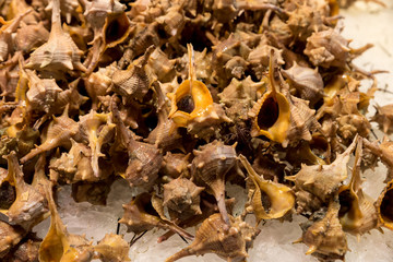 Of the market sea fish