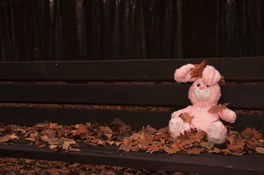 Lonely forgotten abandoned teddy toy bunny-rabbit sat on an wooden bench in forest covered with autumn leaves. (concept: depression, loneliness)