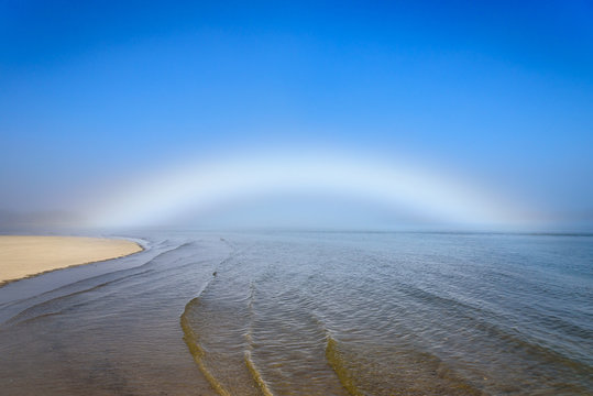 Rare Fogbow or White Rainbow Caused by Dense Fog and Sunlight Over the River