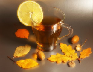 to celebrate the Chinese year of the pig acorns oak leaves, and tea with lemon black background
