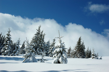 Winter mountain landscape with snow covered road forest hills snow and blue sky with clouds
