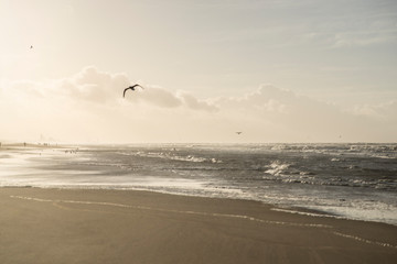 Northsee 10