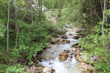 Strumyk, potok © ALPL