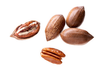 Pecan nuts isolated on white background. Carya illinoinensis