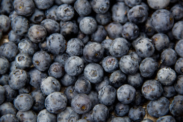 Blueberries 