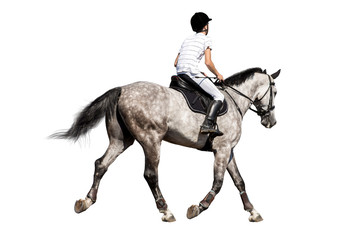 Boy riding a horse isolated on white background.