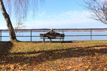 Jesienny widok jeziora