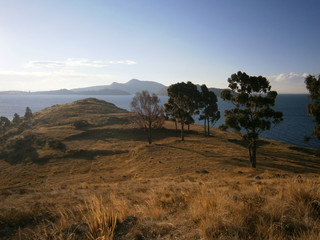 Obraz premium Einsame Insel auf dem Titicaca See, Peru