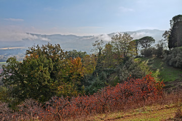 Brisighella, Ravenna, Emilia-Romagna, Italy: autumn landscape of the countryside with persimmon...