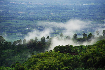 Misty landscape in Buenavista, Quindio, Colombia, South America
