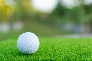 Golf ball on green grass ready to play at golf course. with copy space