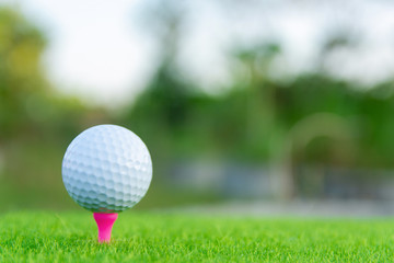 Golf ball with pink tee on green grass ready to play at golf course. with copy space