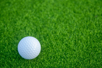 Golf ball on green grass ready to play at golf course. with copy space
