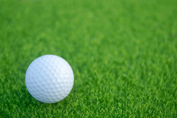 Golf ball on green grass ready to play at golf course. with copy space