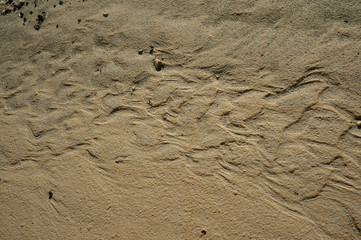 beautiful nature in the reserve