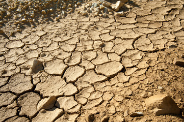 beautiful nature in the reserve