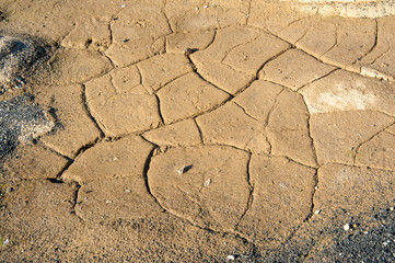 Fototapeta premium beautiful nature in the reserve