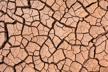 Fototapeta Cracked earth, cracked soil. texture of grungy dry cracking parched earth. Global worming effect. obraz