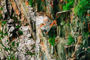 Mossy orange rocky layered surface of mountain with rich vegetations of highlands. Plants, mosses and lichens on cliff. Detailed texture of mountainside with copy space. Textured rock with greenery.