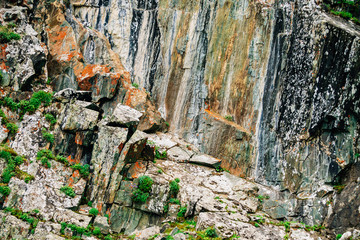 Mossy orange rocky layered surface of mountain with rich vegetations of highlands. Plants, mosses and lichens on cliff. Detailed texture of mountainside with copy space. Textured rock with greenery.